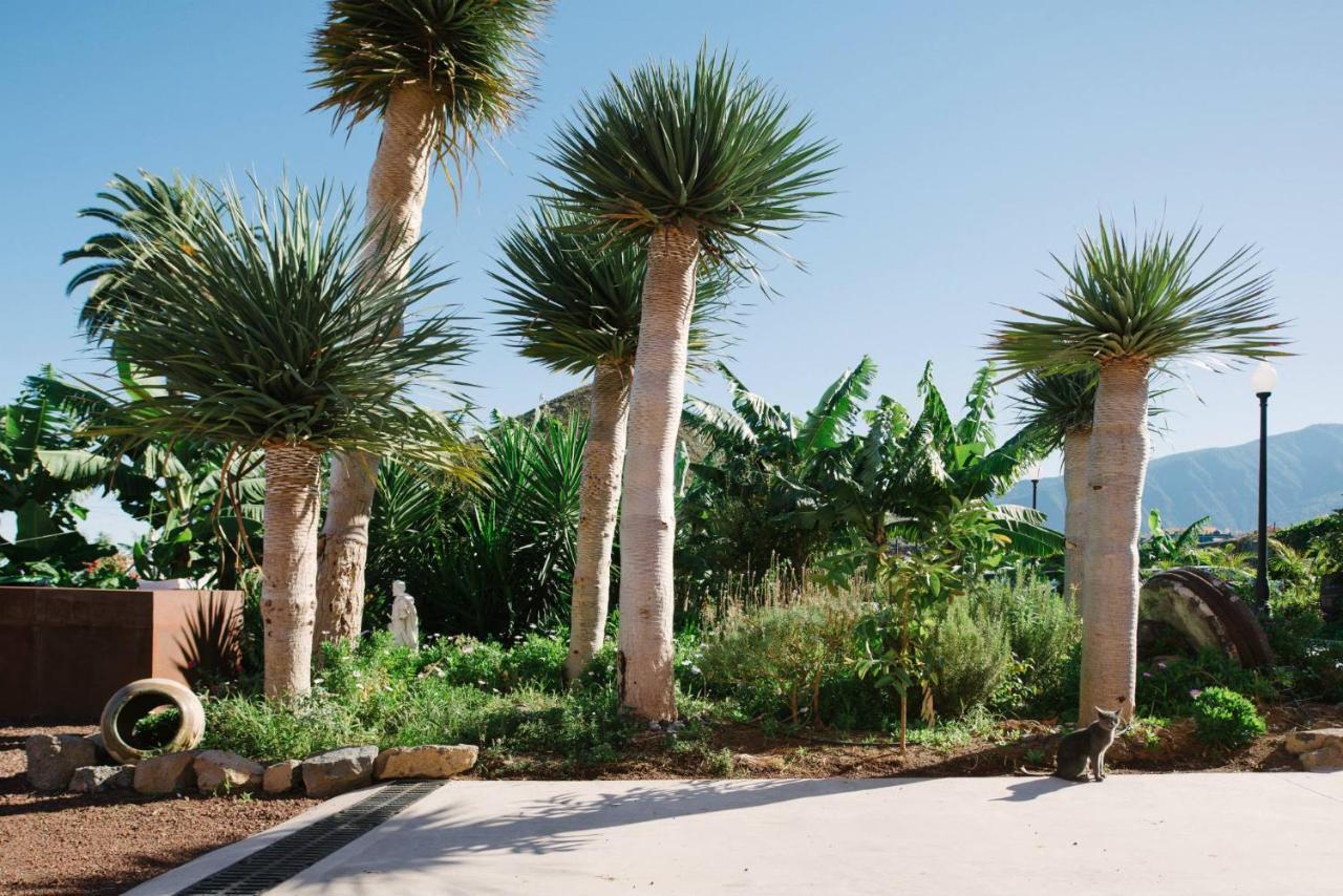 Finca El Patio 로스 레알레호스 외부 사진