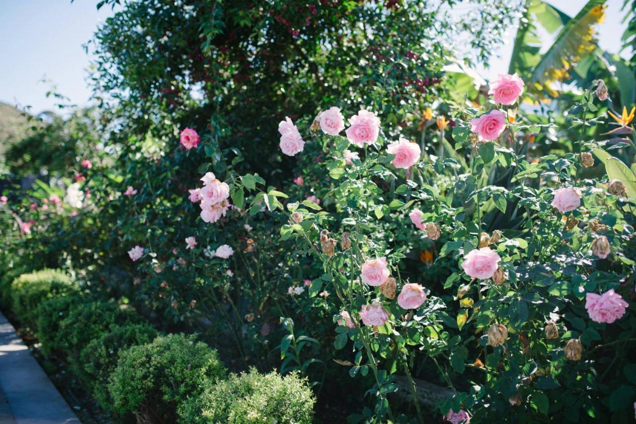 Finca El Patio 로스 레알레호스 외부 사진