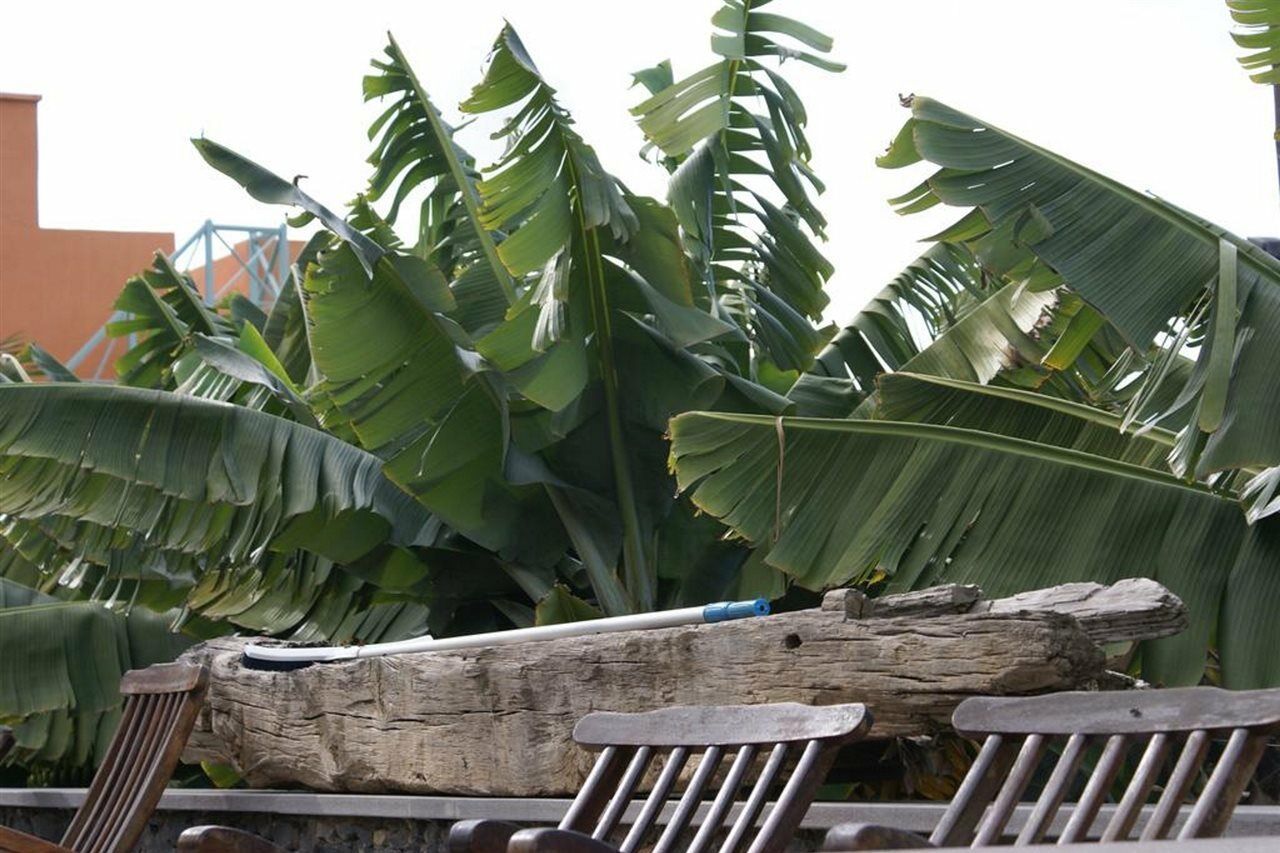 Finca El Patio 로스 레알레호스 외부 사진
